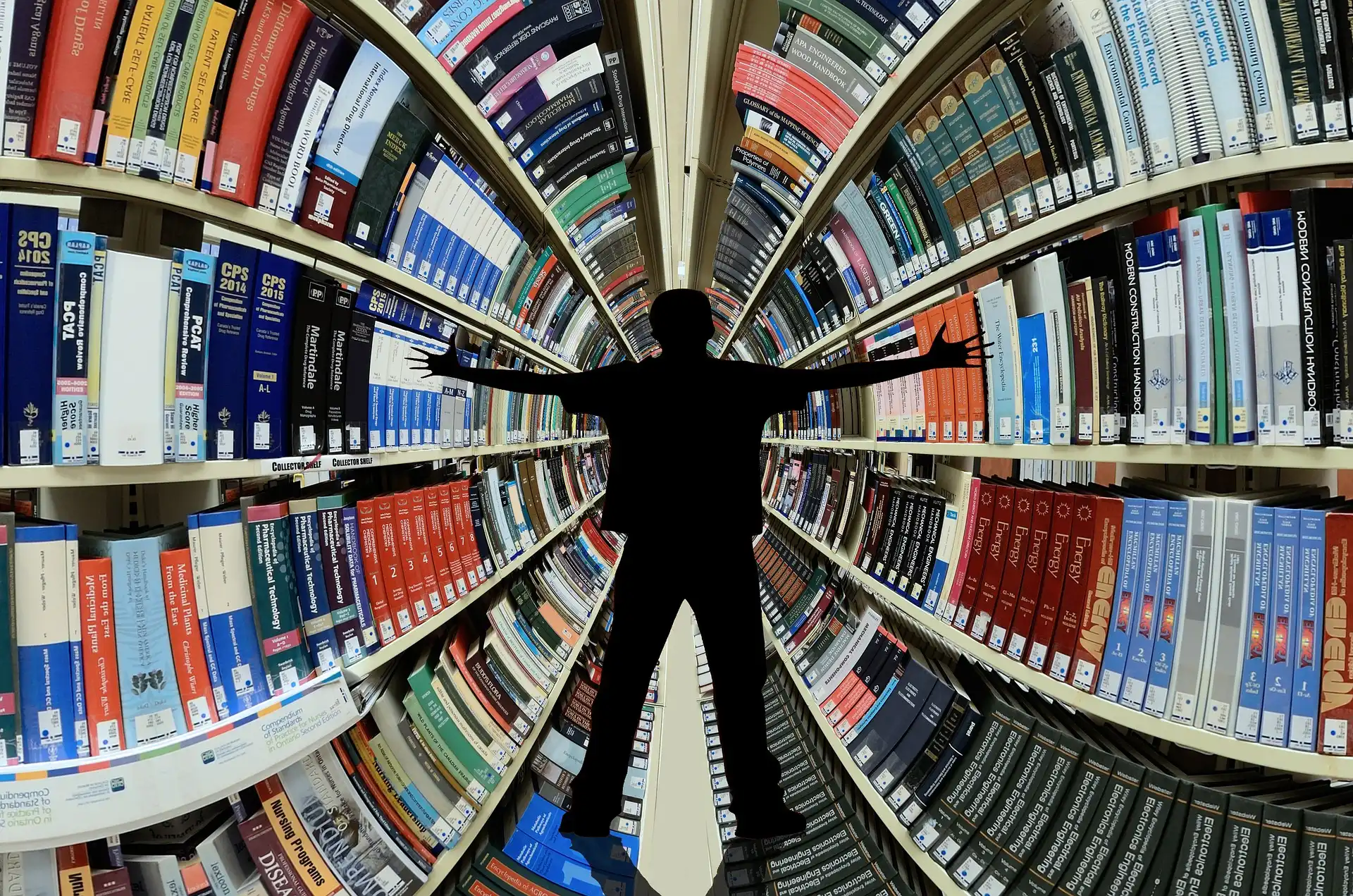 Experte, Fachmann, Fluguntauglichkeitsversicherung, fluguntauglich, Loss of Licence, Lizenzverlust, Pilot, Flugschüler